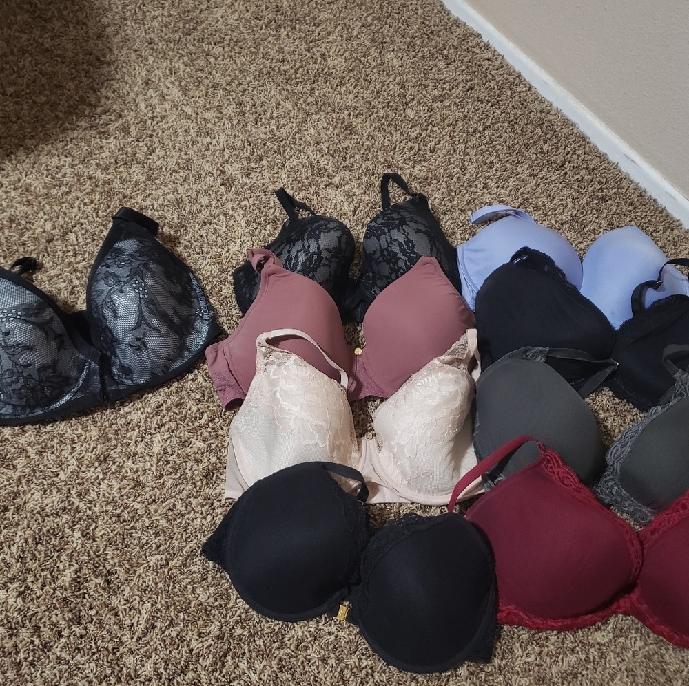 Natori bras